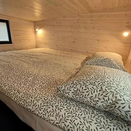 Caloroczne - Tarlagowy Bor