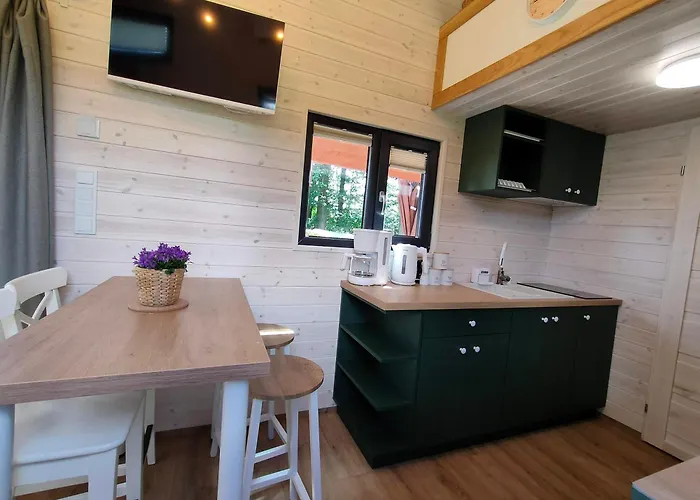 Caloroczne - Tarlagowy Bor *