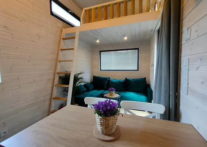 Caloroczne - Tarlagowy Bor *