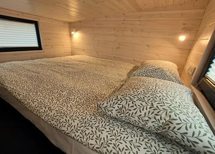 Caloroczne - Tarlagowy Bor